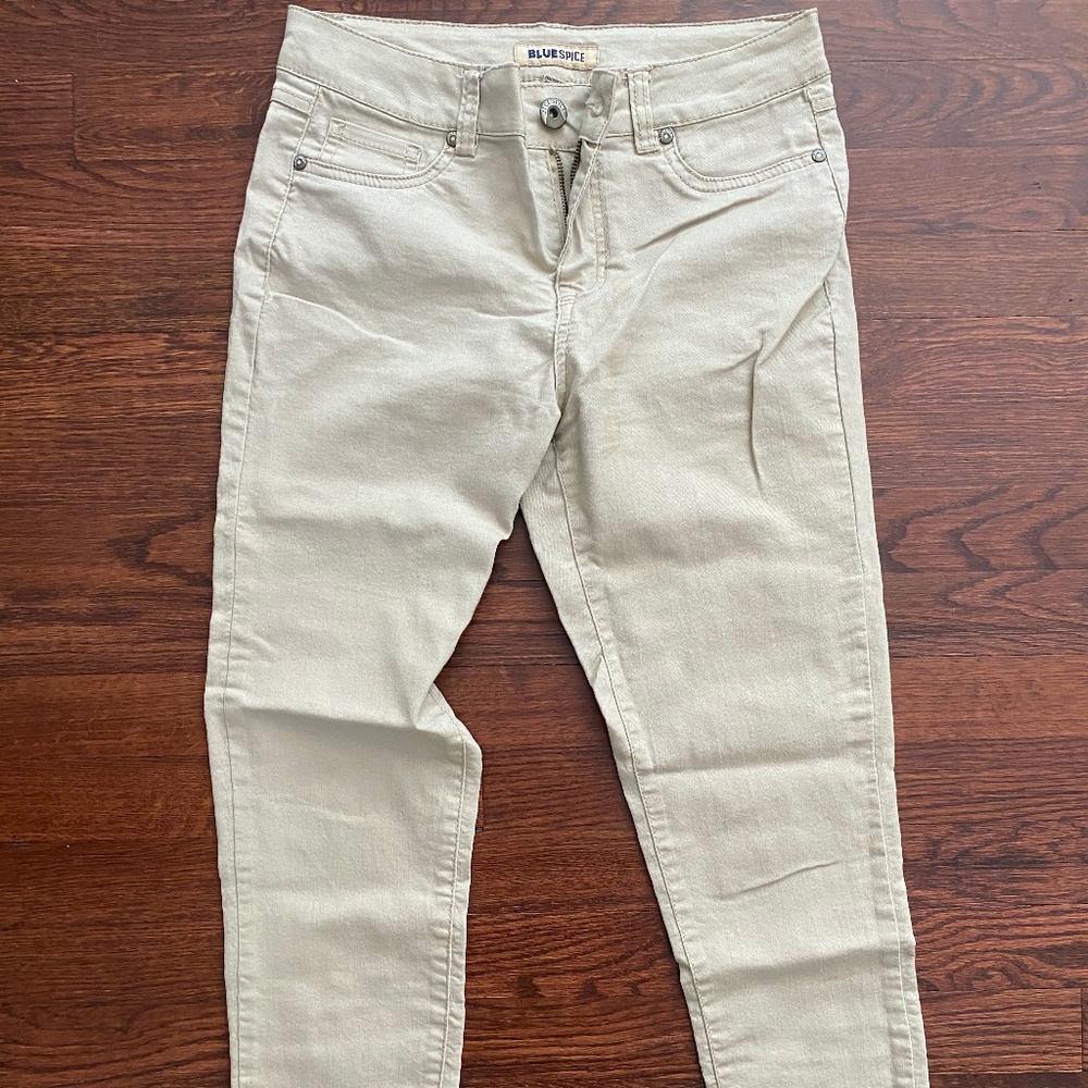 Blue Spice Ankle Jeans